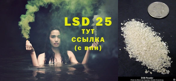 стаф Вяземский