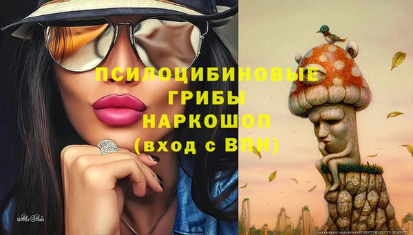 стаф Вяземский