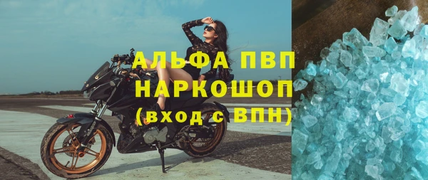 стаф Вяземский