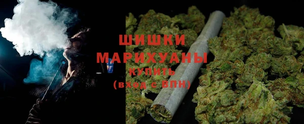 стаф Вяземский