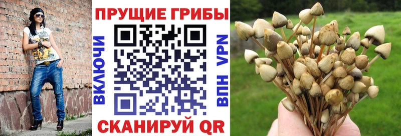 Купить закладки  Красноуфимск  Галлюциногенные грибы мухоморы 